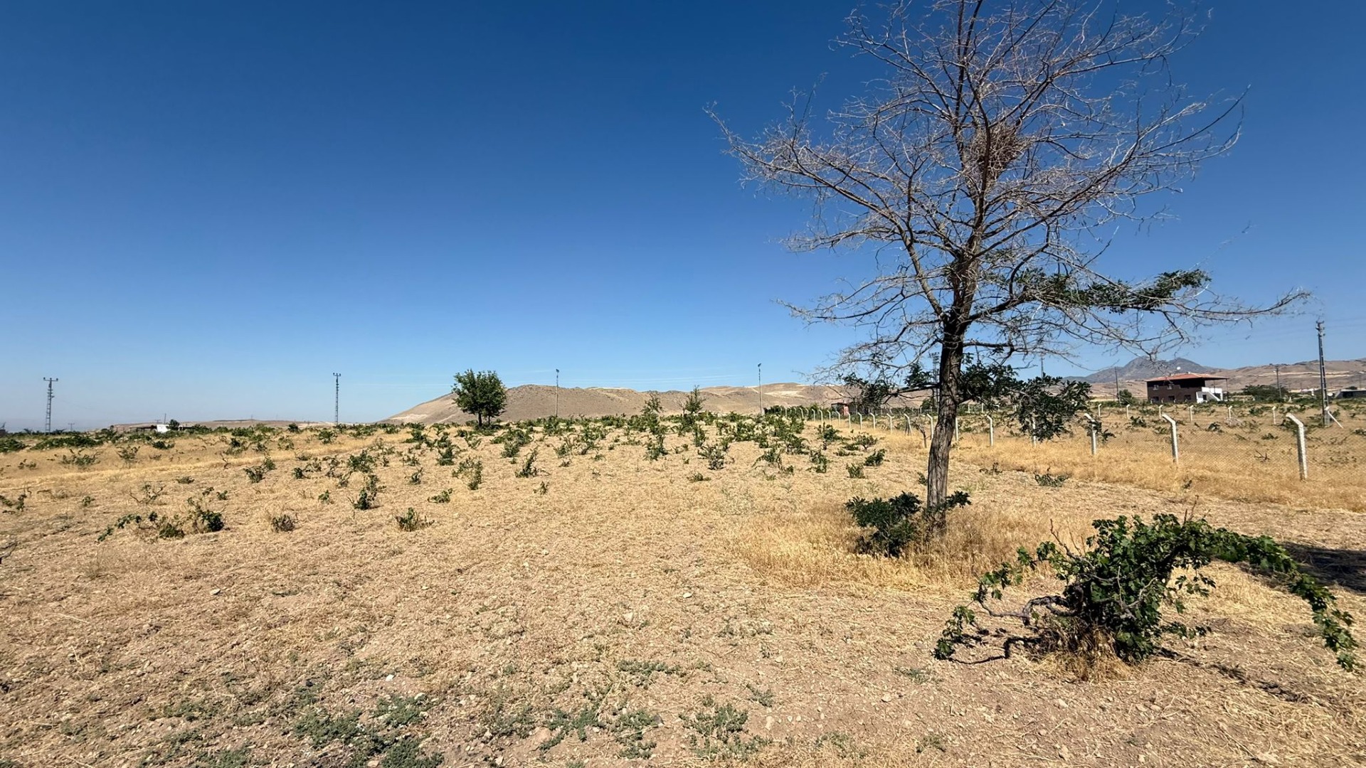 KAYSERİ DEVELİ REŞADİYE MAHALLESİ GÜZELCE MEVKİİNDE SATILIK BAĞ